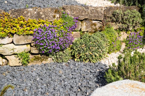 Landscaping Rocks Installation in Tampa
