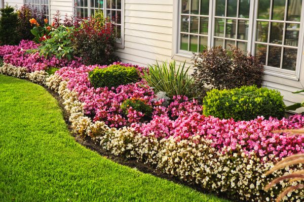 Garden Landscape Design in Tampa