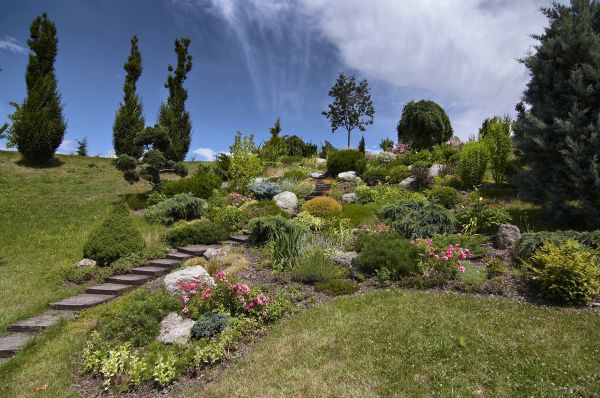 Steep Terrain Landscaping in Tampa