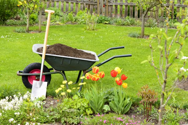 Spring Yard Renovation in Tampa