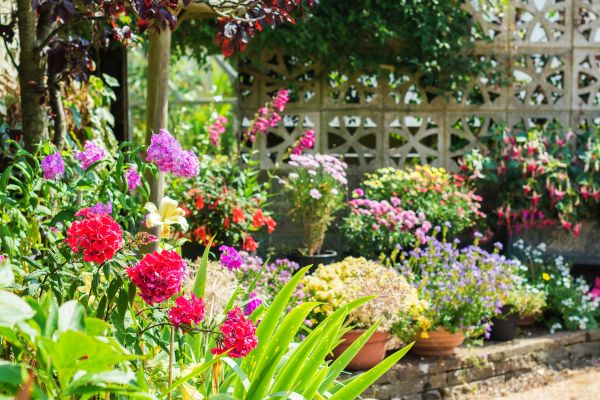 Spring Garden Maintenance in Tampa