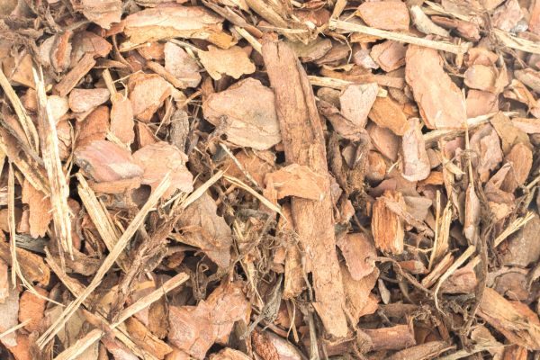 Bark Mulch Installation in Tampa