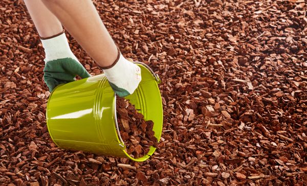 Wood Chip Landscaping in Tampa