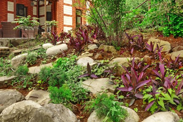 Rock Garden Landscaping in Tampa