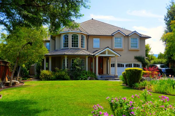 Large Yard Landscaping in Tampa