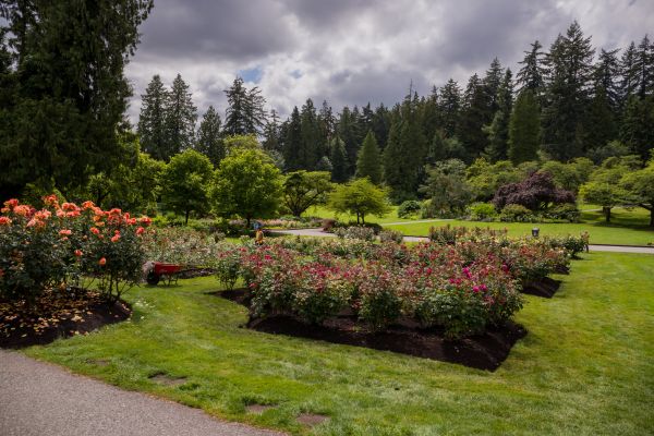 Flower Garden Landscaping in Tampa