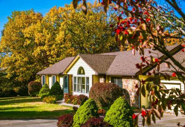 Ranch Landscaping in Tampa