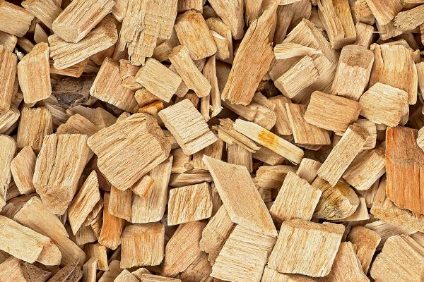 Wood Chips Installation in Tampa