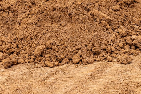 Sandy Loam Delivery in Tampa