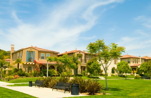 Community Landscaping in Tampa