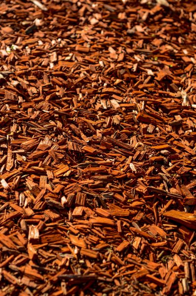 Cedar Mulch Spreading in Tampa