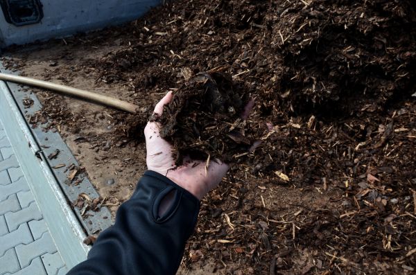 Condo Mulching in Tampa