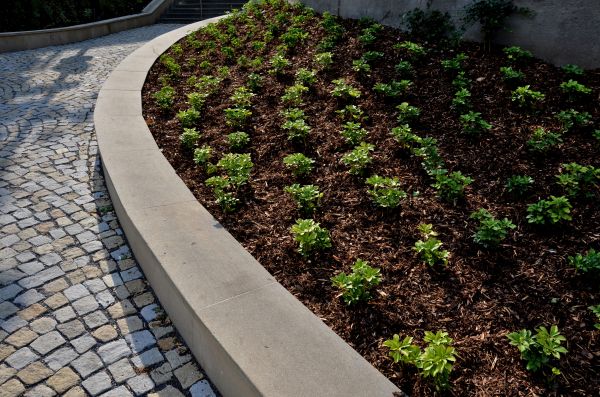 Commercial Mulching in Tampa