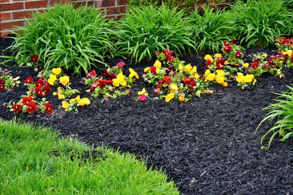 Apartment Mulching in Tampa