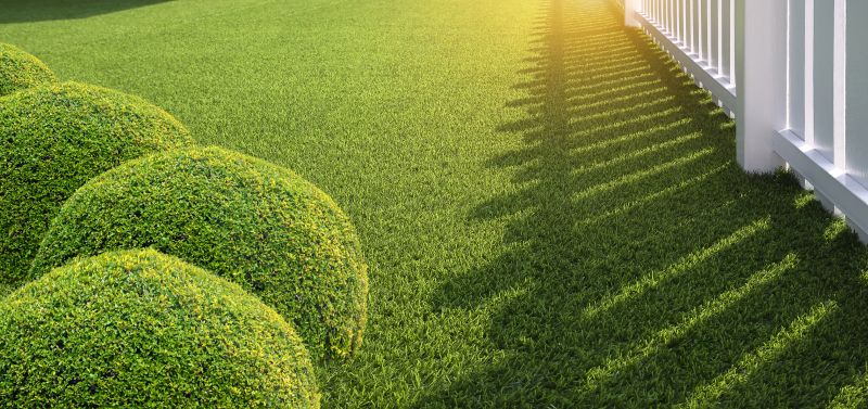 Artificial Grass Installation