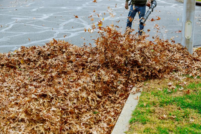 Leaf Blowing for Cleanup