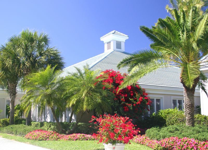 Tampa Landscape Transformation