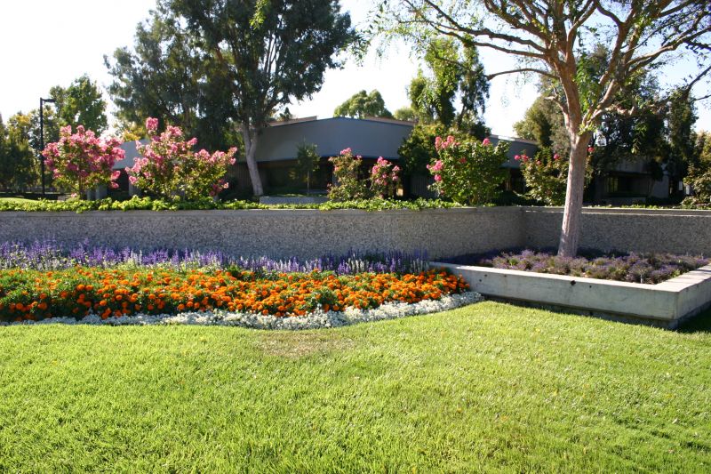 Beautiful Garden Beds